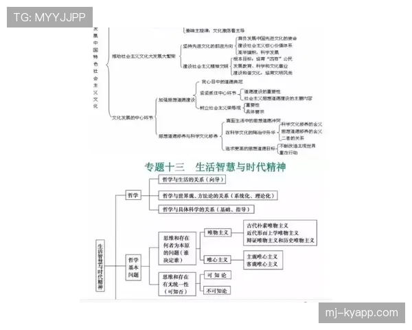 传控体系下迪巴拉与科雷亚的进攻权责演变分析